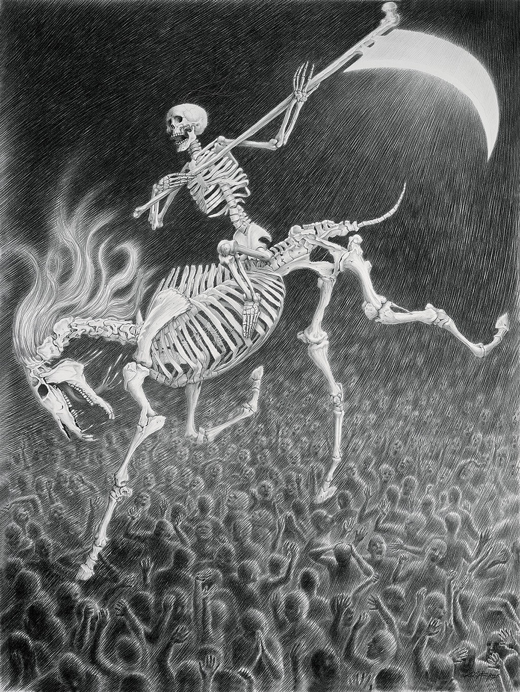Laurie Lipton - 2.jpg