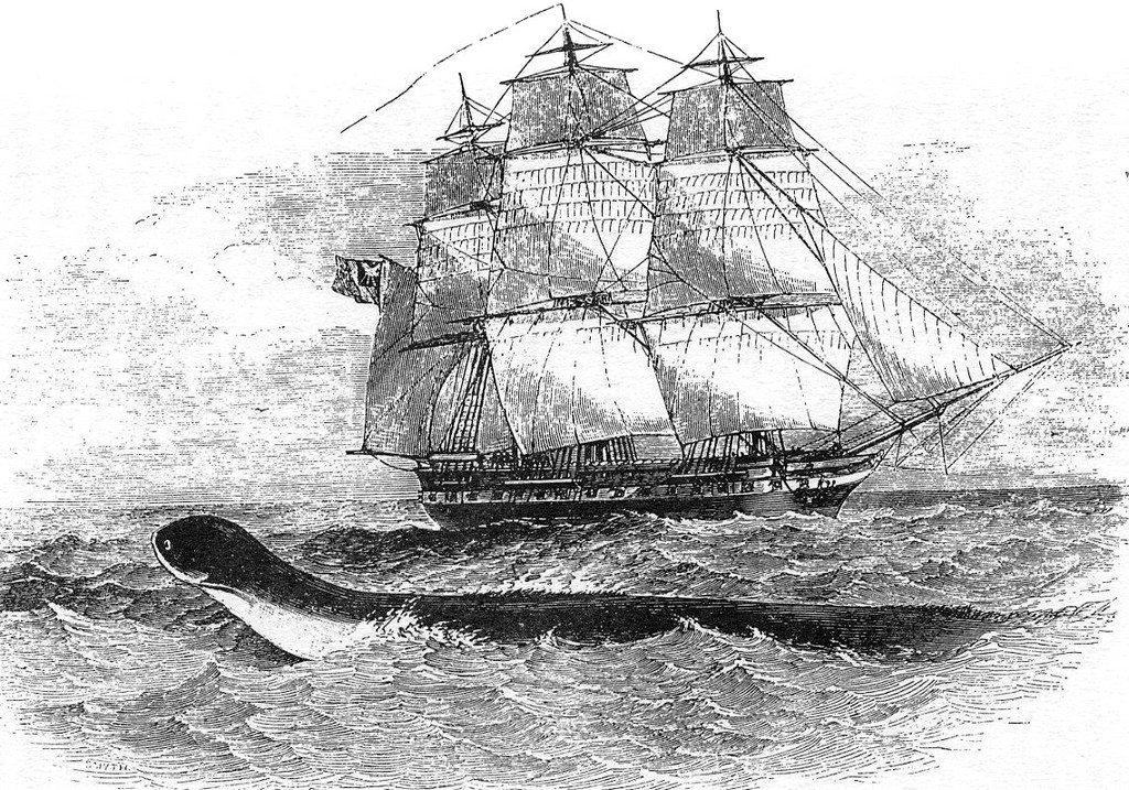 Daedalus-1848-01.jpg