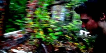 The Rake gifka.gif