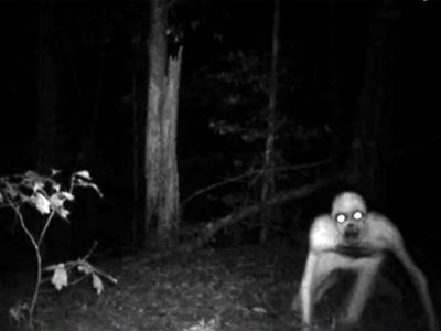 Yeti1.jpg