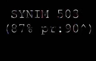 SYNIM 503.jpg