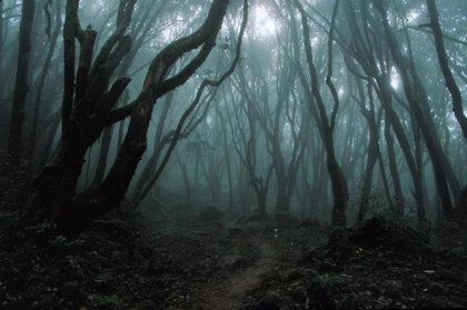 Slender man (12).jpg