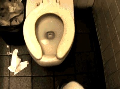 Toilet spider.gif