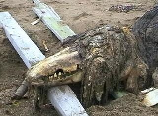 SCP-682.jpg