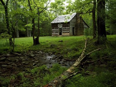 The house in the forest glade.jpg